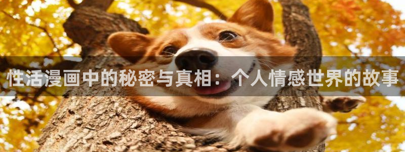 韩漫漫画网在线免费阅读：性活漫画中的秘密与真相：个人情感世界的故事